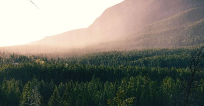 Recovery, Healing & Regenerative Health