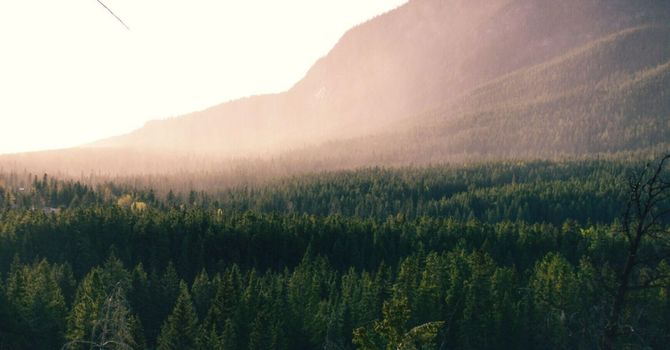 Recovery, Healing & Regenerative Health